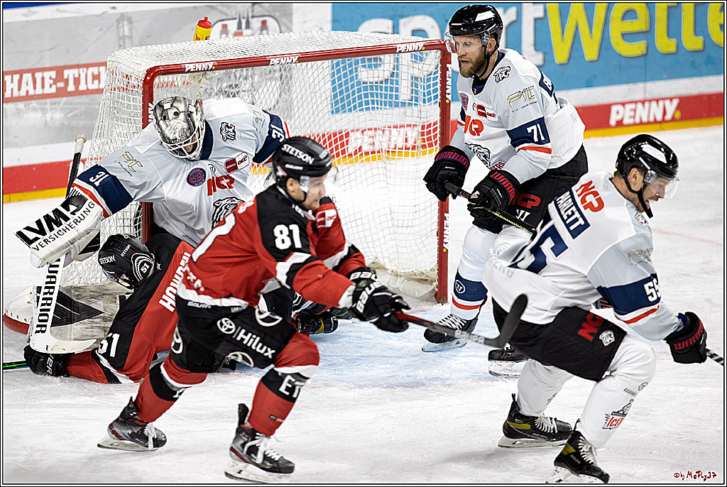 PENNY DEL;  Koelner Haie - Nuernberg Ice Tiger; Koeln, 21.09.2021